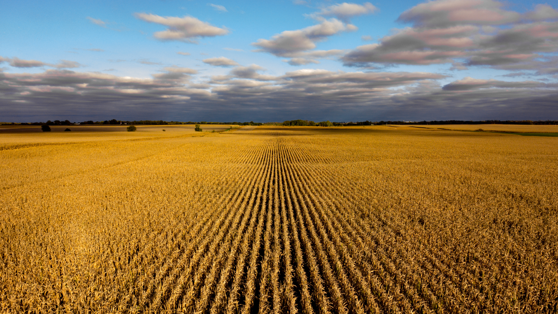 Moving to Nebraska with WeMove