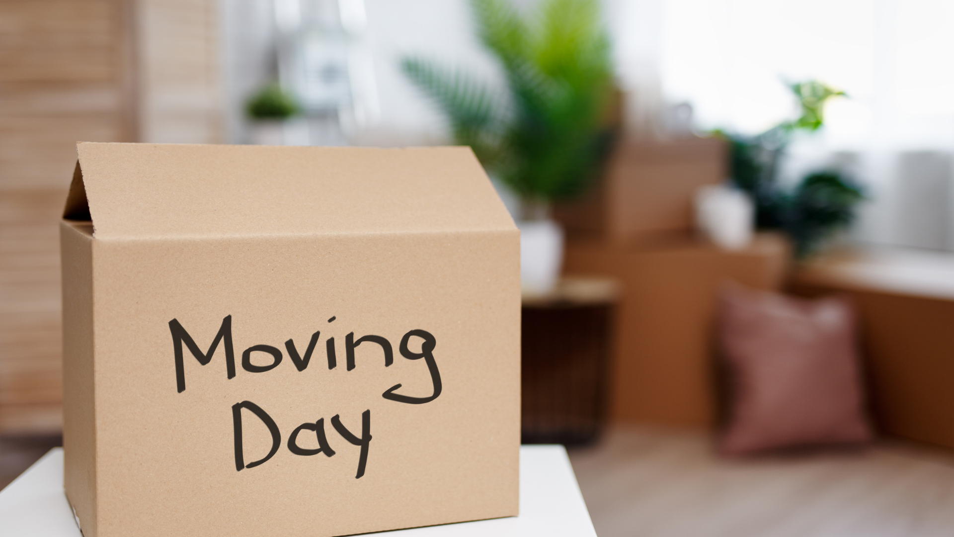 Ultimate moving guide for your move day with WeMove